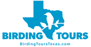 Birding Tours Texas