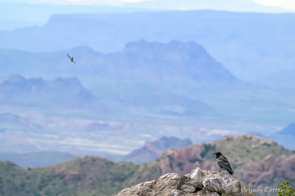 Chisos Mountains