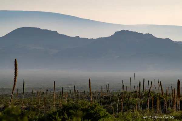 Chisos Mountains